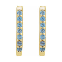 Accented Elongated Hoop Earrings