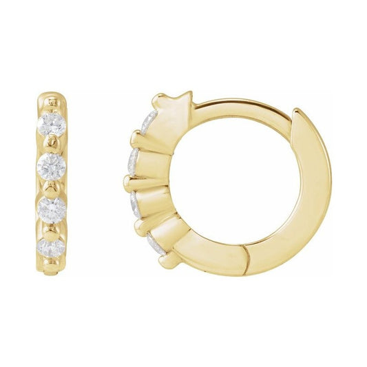 Accented Hinged Hoop Earrings