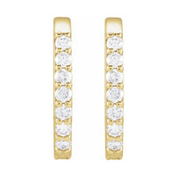 Accented Elongated Hoop Earring