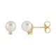 Accented Pearl Earrings