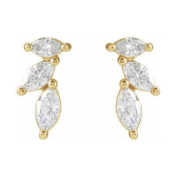 Accented Earrings