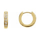 Accented Hoop Earrings