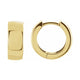 Hinged Hoop Earrings