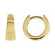 Hinged Hoop Earrings