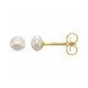 Youth Pearl Stud Earrings