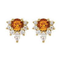 Accented Earrings
