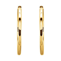 Hinged Hoop Earrings