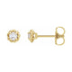Round 4-Prong Claw Stud Earrings