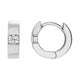 Accented Huggie Hoop Earrings