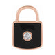 Accented Enamel Lock Charm/Pendant