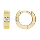 Accented Huggie Hoop Earrings