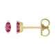 Solitaire V-Prong Stud Earrings