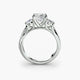 Three-Stone with Pavé Band 2