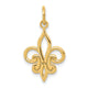 14k Fleur De Lis Charm