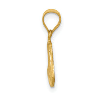 14K Satin D/C Mary Pendant