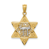 14k Two-tone Gold Polished Star of David w/Chai Pendant