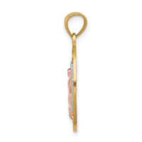 14K Two-tone w/White Rhodium D/C Lady of Guadalupe Charm