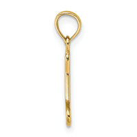 14K Cut-Out Polished Mini Dog Bone Charm