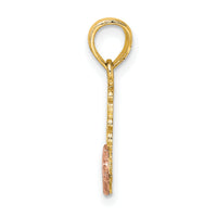 14K Two-Tone JESUS LOVES ME Charm
