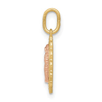 14k Two-tone Guadalupe Pendant