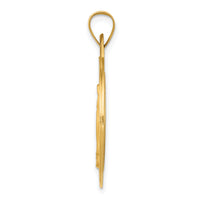 14k Polished and Satin Miraculous Medal Hollow Pendant