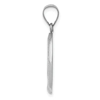 14k White Gold Polished / Satin Miraculous Medal Hollow Pendant