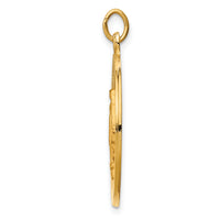 14k Solid Polished/Satin Round Miraculous Medal