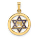14k Polished and Enameled Solid Star of David Pendant