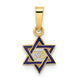 14k Polished and Enameled Solid Star of David Pendant