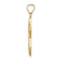 14k Polished and Textured Solid Star of David Pendant